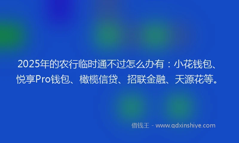 2025年的农行临时通不过怎么办有：小花钱包、悦享Pro钱包、橄榄信贷、招联金融、天源花等。