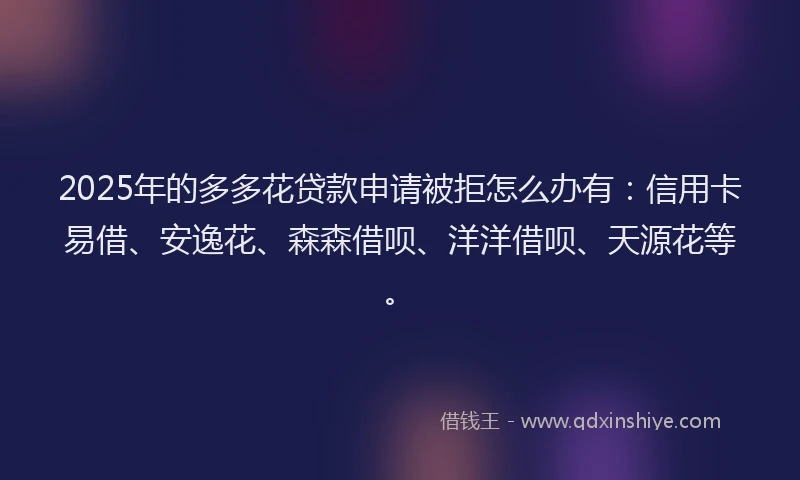 2025年的多多花贷款申请被拒怎么办有：信用卡易借、安逸花、森森借呗、洋洋借呗、天源花等。