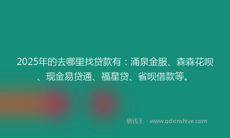 2025年的去哪里找贷款有：涌泉金服、森森花呗、现金易贷通、福星贷、省呗借款等。