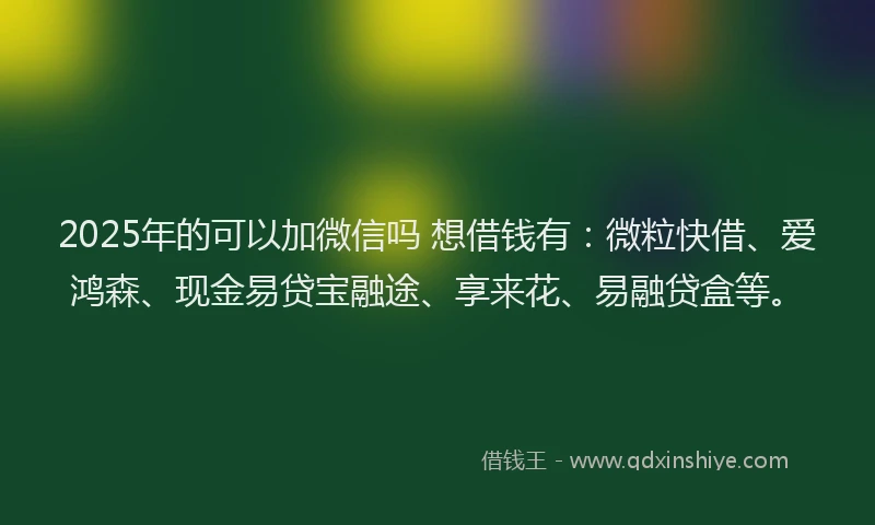 2025年的可以加微信吗 想借钱有：微粒快借、爱鸿森、现金易贷宝融途、享来花、易融贷盒等。