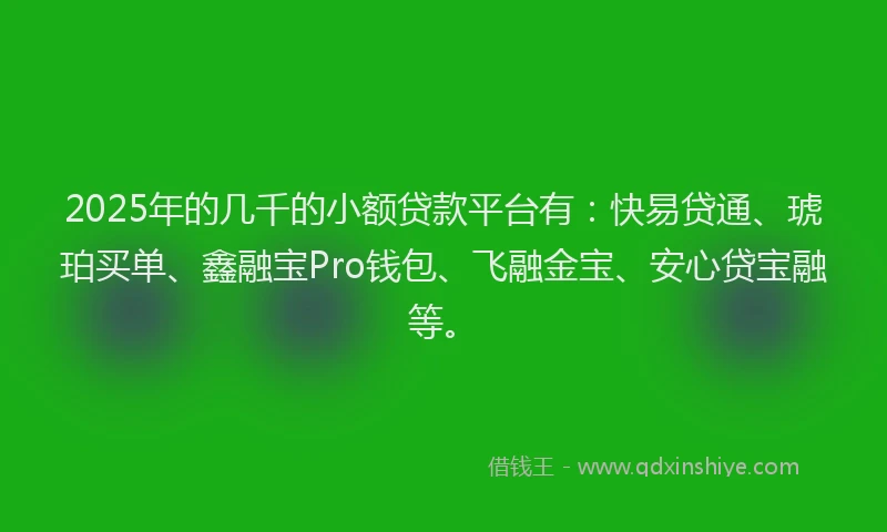 2025年的几千的小额贷款平台有：快易贷通、琥珀买单、鑫融宝Pro钱包、飞融金宝、安心贷宝融等。