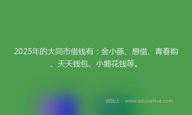 2025年的大同市借钱有：金小豚、想借、青春购、天天钱包、小鹅花钱等。