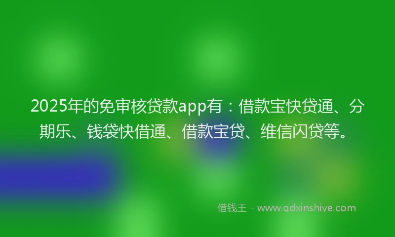 2025年的免审核贷款app有：借款宝快贷通、分期乐、钱袋快借通、借款宝贷、维信闪贷等。