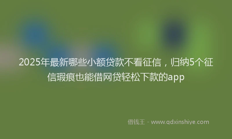 2025年最新哪些小额贷款不看征信，归纳5个征信瑕疵也能借网贷轻松下款的app
