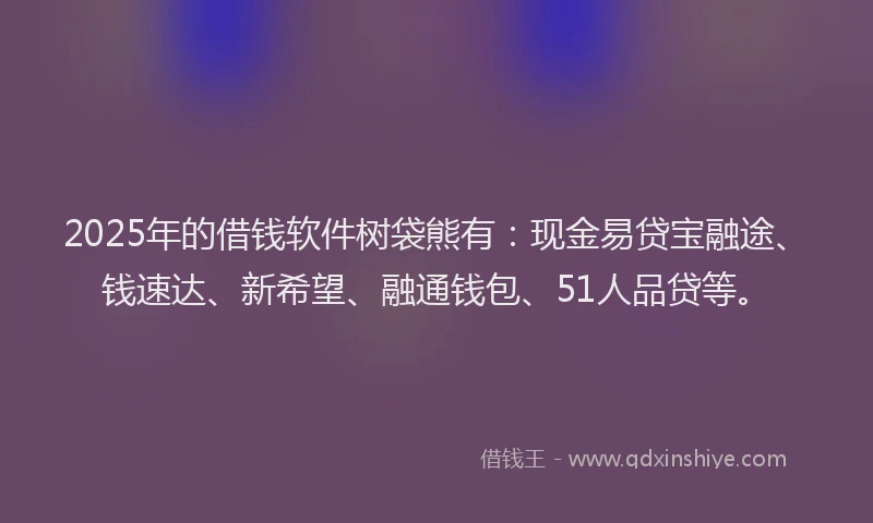 2025年的借钱软件树袋熊有：现金易贷宝融途、钱速达、新希望、融通钱包、51人品贷等。