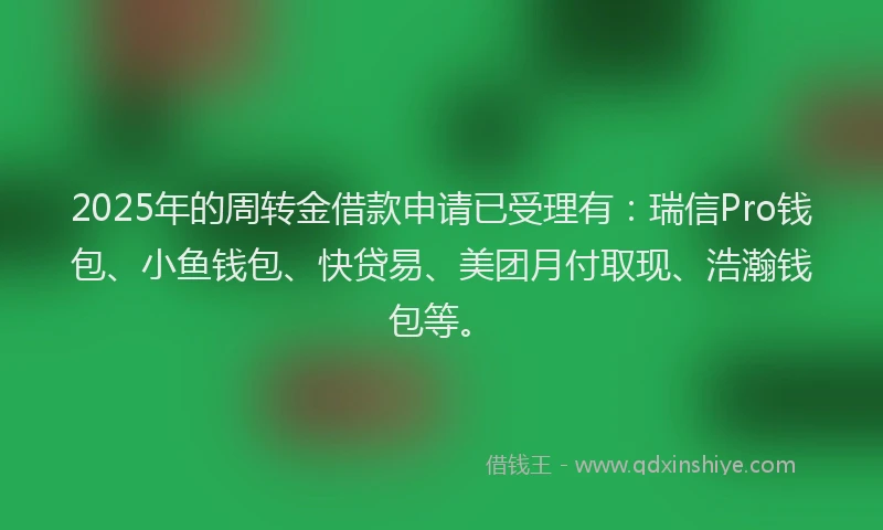 2025年的周转金借款申请已受理有：瑞信Pro钱包、小鱼钱包、快贷易、美团月付取现、浩瀚钱包等。