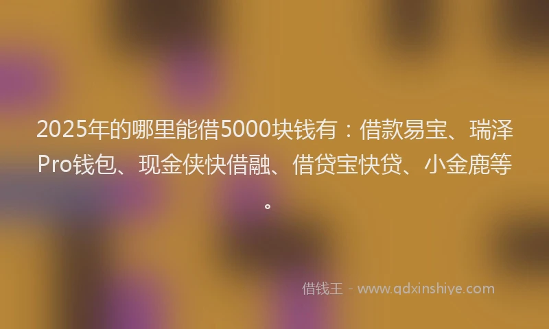 2025年的哪里能借5000块钱有：借款易宝、瑞泽Pro钱包、现金侠快借融、借贷宝快贷、小金鹿等。