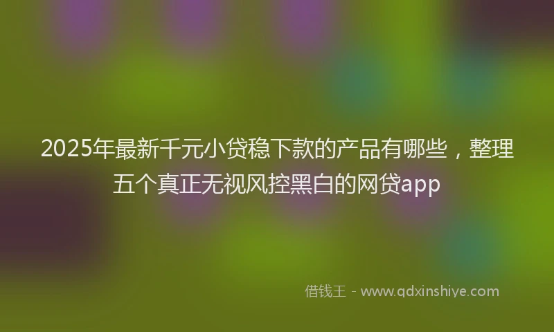 2025年最新千元小贷稳下款的产品有哪些，整理五个真正无视风控黑白的网贷app