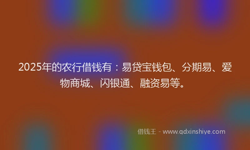 2025年的农行借钱有：易贷宝钱包、分期易、爱物商城、闪银通、融资易等。