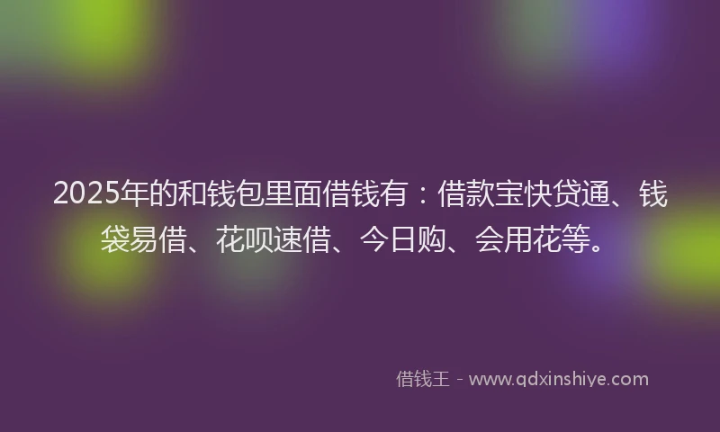 2025年的和钱包里面借钱有：借款宝快贷通、钱袋易借、花呗速借、今日购、会用花等。