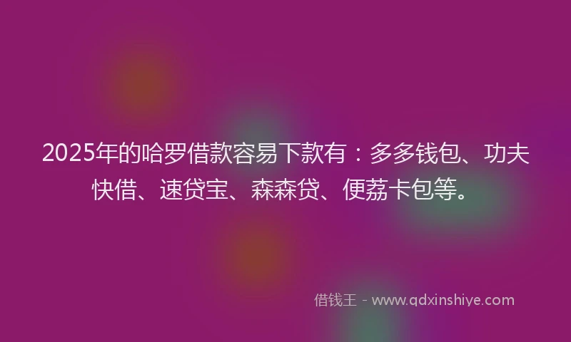 2025年的哈罗借款容易下款有：多多钱包、功夫快借、速贷宝、森森贷、便荔卡包等。
