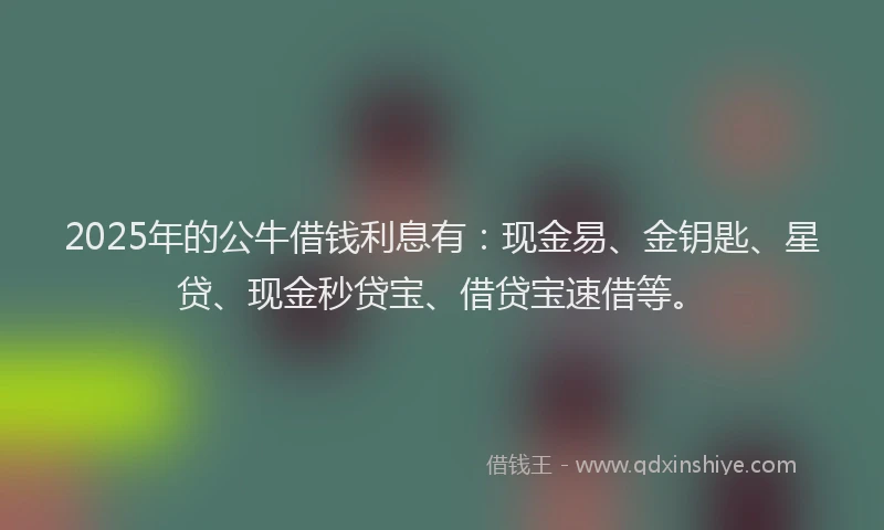 2025年的公牛借钱利息有：现金易、金钥匙、星贷、现金秒贷宝、借贷宝速借等。