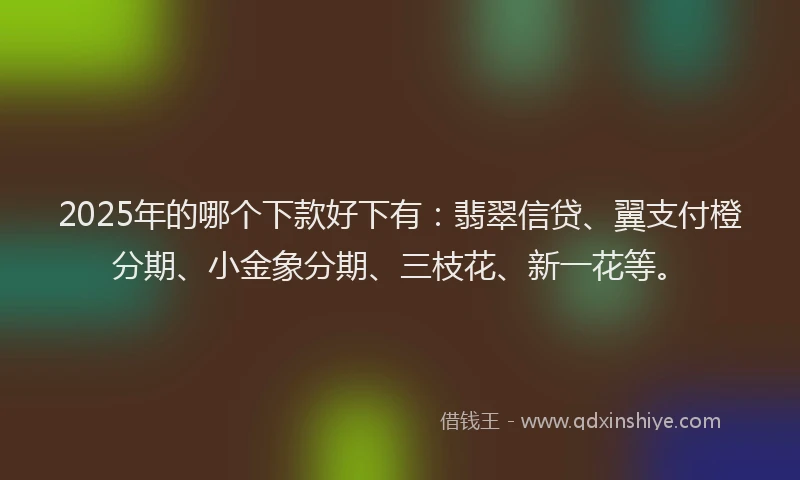 2025年的哪个下款好下有：翡翠信贷、翼支付橙分期、小金象分期、三枝花、新一花等。