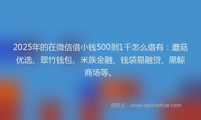 2025年的在微信借小钱500到1千怎么借有：蘑菇优选、翠竹钱包、米族金融、钱袋易融贷、黑鲸商场等。