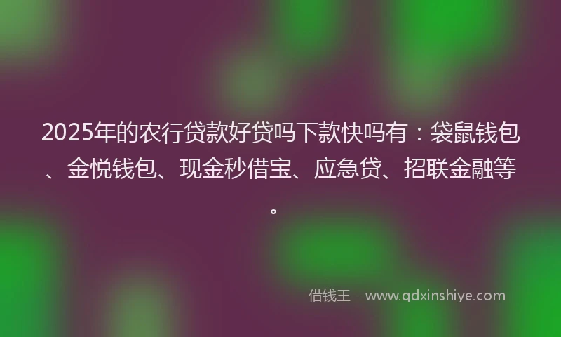 2025年的农行贷款好贷吗下款快吗有：袋鼠钱包、金悦钱包、现金秒借宝、应急贷、招联金融等。