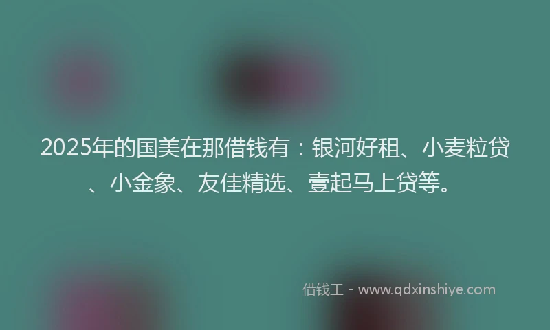 2025年的国美在那借钱有：银河好租、小麦粒贷、小金象、友佳精选、壹起马上贷等。