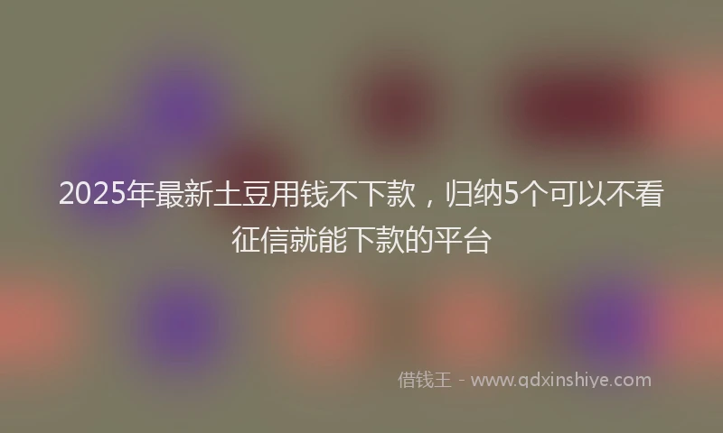 2025年最新土豆用钱不下款，归纳5个可以不看征信就能下款的平台