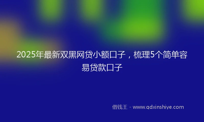 2025年最新双黑网贷小额口子，梳理5个简单容易贷款口子
