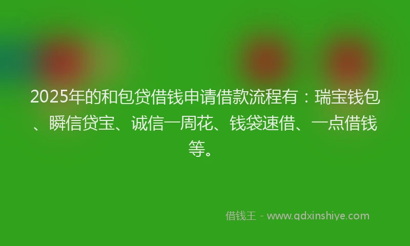 2025年的和包贷借钱申请借款流程有：瑞宝钱包、瞬信贷宝、诚信一周花、钱袋速借、一点借钱等。