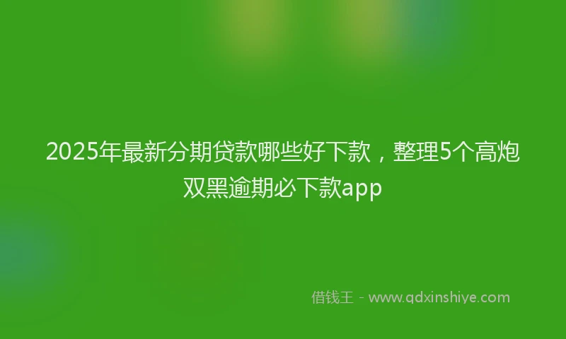 2025年最新分期贷款哪些好下款，整理5个高炮双黑逾期必下款app