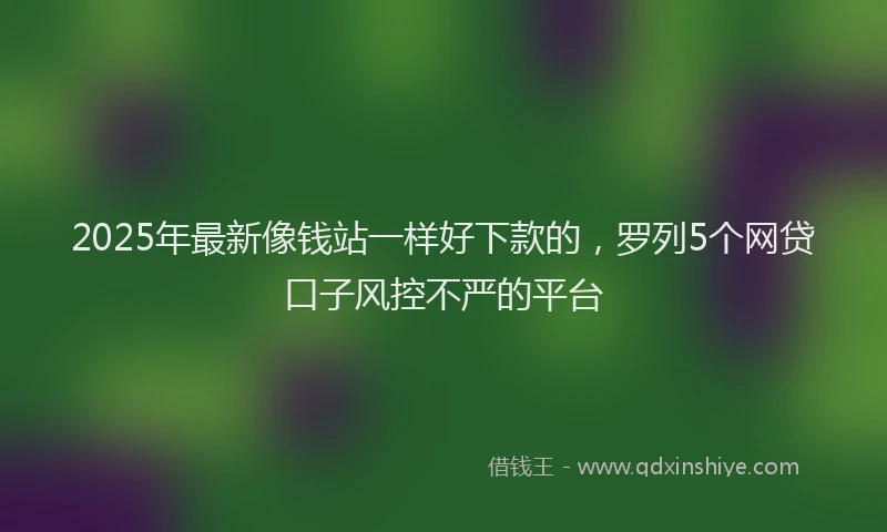 2025年最新像钱站一样好下款的，罗列5个网贷口子风控不严的平台