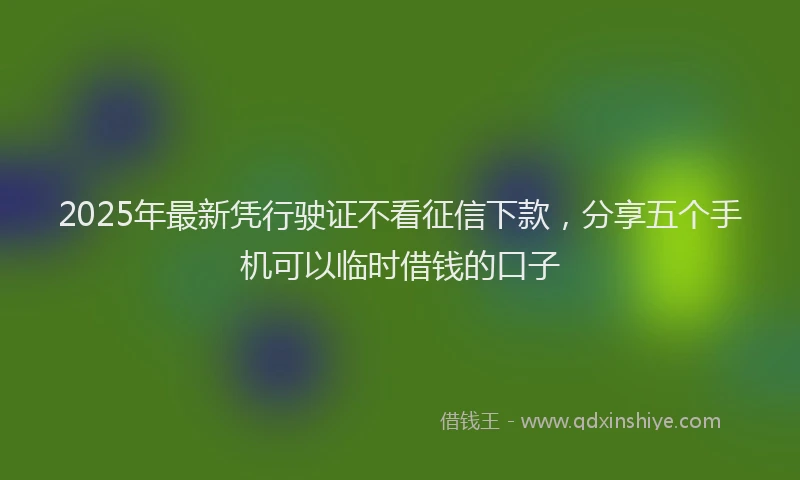 2025年最新凭行驶证不看征信下款，分享五个手机可以临时借钱的口子