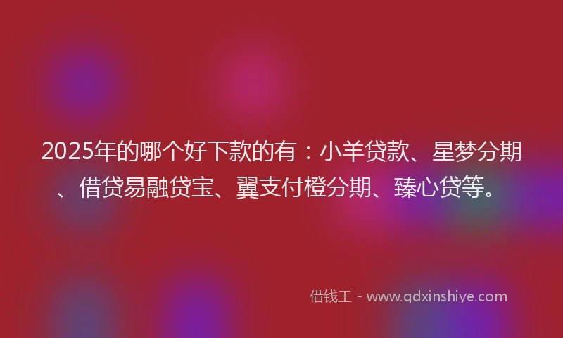 2025年的哪个好下款的有：小羊贷款、星梦分期、借贷易融贷宝、翼支付橙分期、臻心贷等。