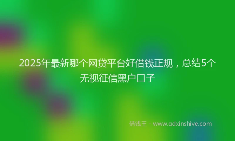 2025年最新哪个网贷平台好借钱正规，总结5个无视征信黑户口子