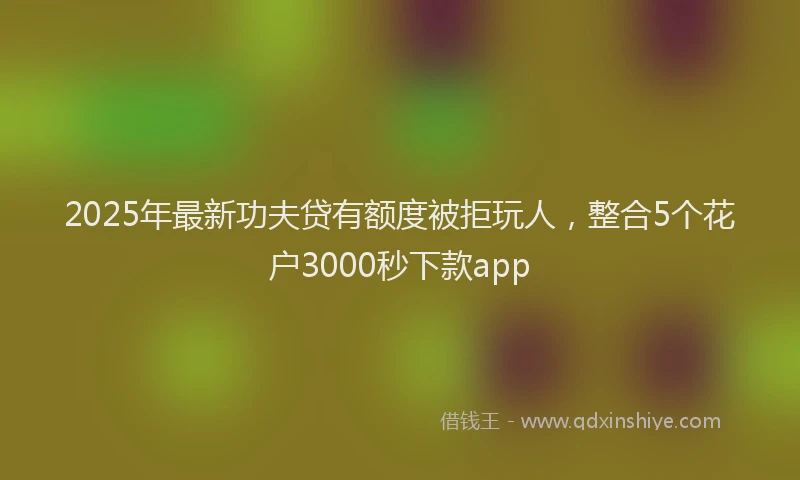 2025年最新功夫贷有额度被拒玩人，整合5个花户3000秒下款app