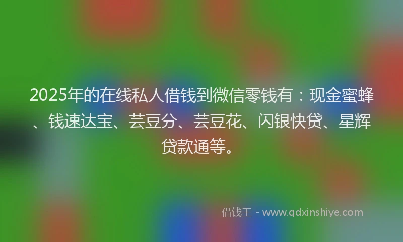 2025年的在线私人借钱到微信零钱有：现金蜜蜂、钱速达宝、芸豆分、芸豆花、闪银快贷、星辉贷款通等。