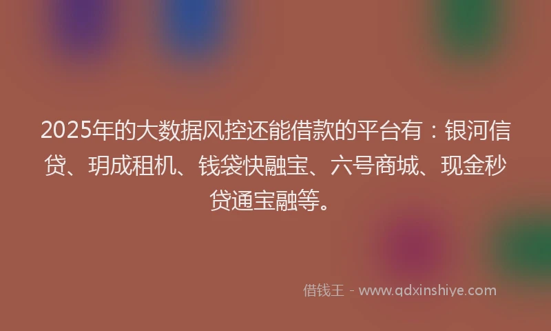 2025年的大数据风控还能借款的平台有：银河信贷、玥成租机、钱袋快融宝、六号商城、现金秒贷通宝融等。