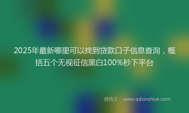 2025年最新哪里可以找到贷款口子信息查询，概括五个无视征信黑白100%秒下平台