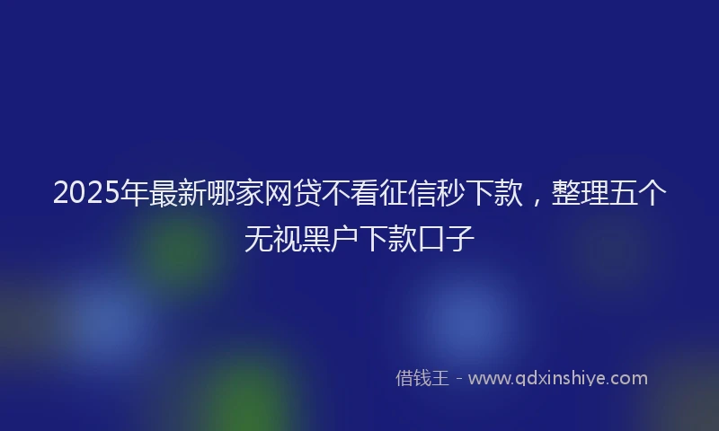 2025年最新哪家网贷不看征信秒下款，整理五个无视黑户下款口子