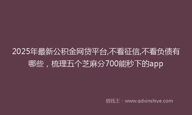 2025年最新公积金网贷平台,不看征信,不看负债有哪些，梳理五个芝麻分700能秒下的app