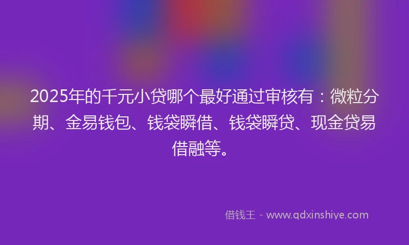2025年的千元小贷哪个最好通过审核有：微粒分期、金易钱包、钱袋瞬借、钱袋瞬贷、现金贷易借融等。