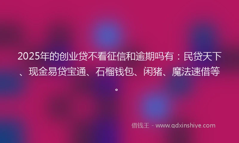 2025年的创业贷不看征信和逾期吗有：民贷天下、现金易贷宝通、石榴钱包、闲猪、魔法速借等。