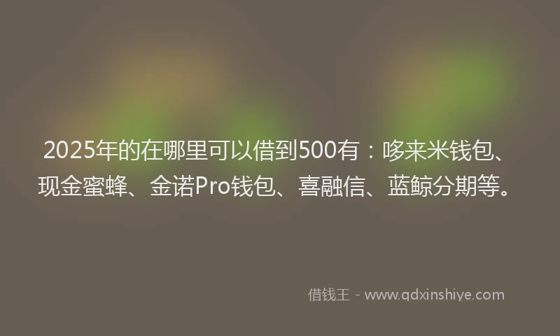 2025年的在哪里可以借到500有：哆来米钱包、现金蜜蜂、金诺Pro钱包、喜融信、蓝鲸分期等。