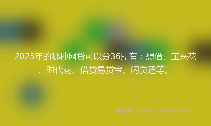 2025年的哪种网贷可以分36期有：想借、宝来花、时代花、借贷易贷宝、闪贷通等。