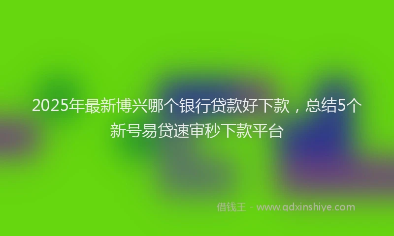 2025年最新博兴哪个银行贷款好下款，总结5个新号易贷速审秒下款平台