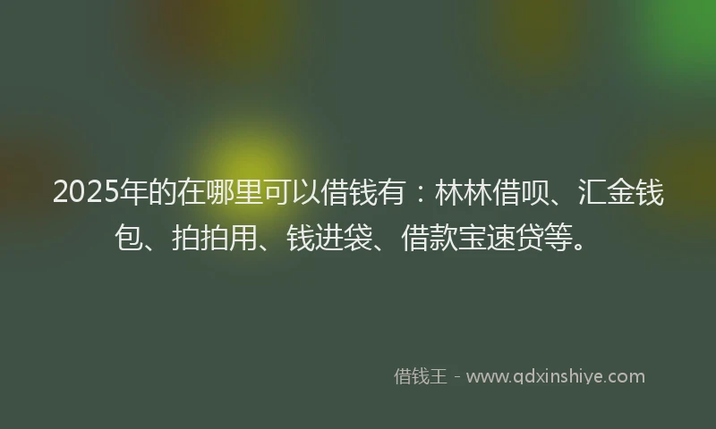 2025年的在哪里可以借钱有：林林借呗、汇金钱包、拍拍用、钱进袋、借款宝速贷等。