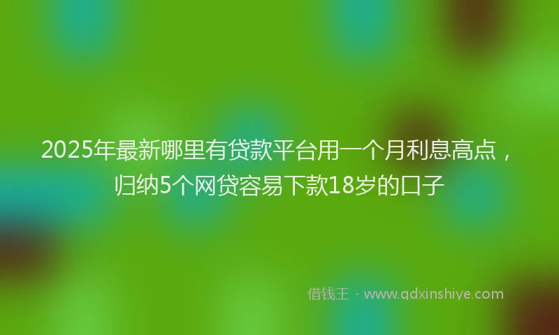 2025年最新哪里有贷款平台用一个月利息高点，归纳5个网贷容易下款18岁的口子