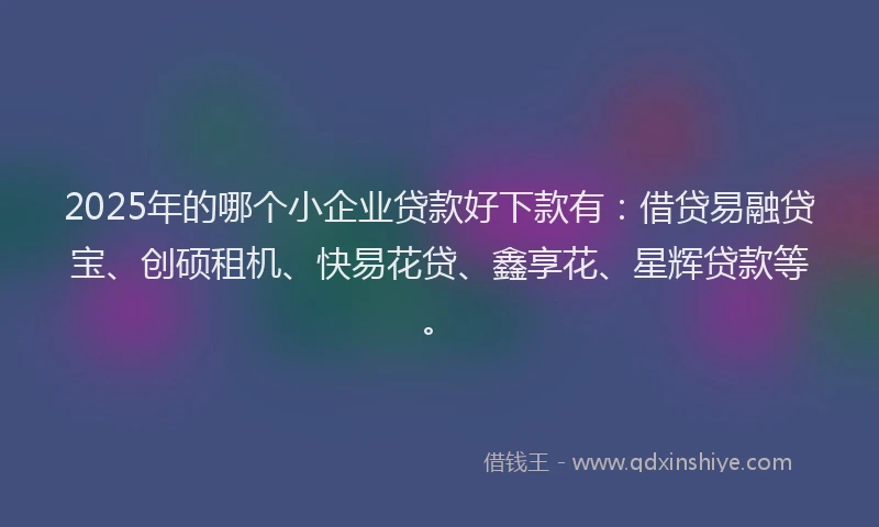 2025年的哪个小企业贷款好下款有：借贷易融贷宝、创硕租机、快易花贷、鑫享花、星辉贷款等。