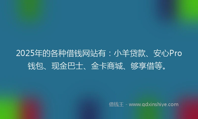 2025年的各种借钱网站有：小羊贷款、安心Pro钱包、现金巴士、金卡商城、够享借等。