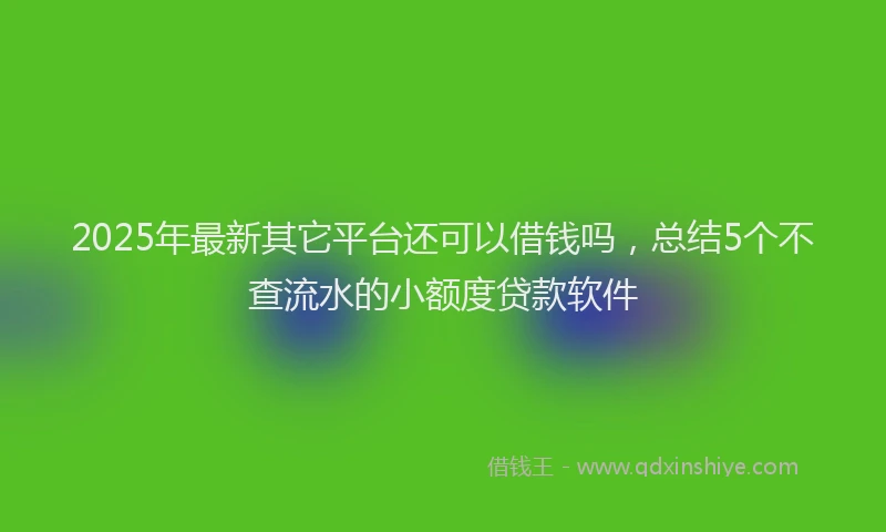 2025年最新其它平台还可以借钱吗，总结5个不查流水的小额度贷款软件