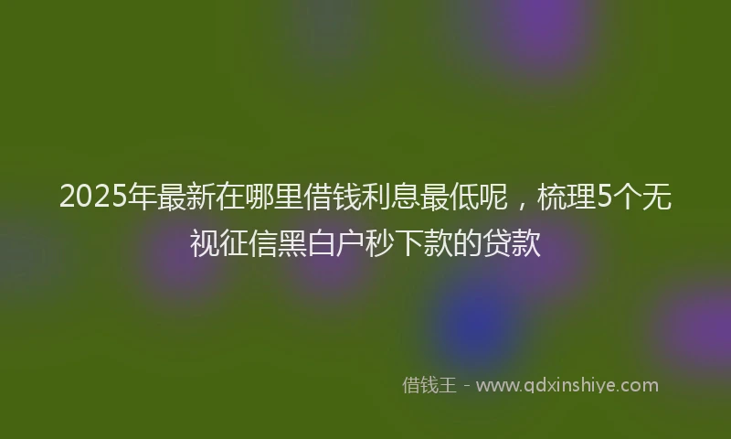 2025年最新在哪里借钱利息最低呢，梳理5个无视征信黑白户秒下款的贷款