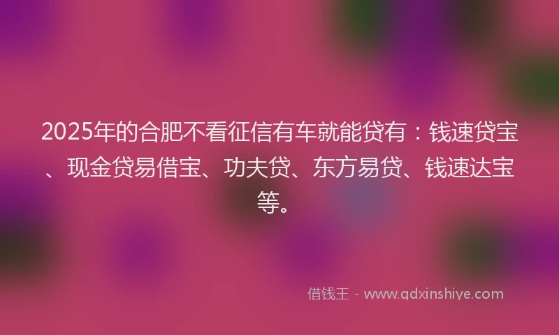 2025年的合肥不看征信有车就能贷有：钱速贷宝、现金贷易借宝、功夫贷、东方易贷、钱速达宝等。