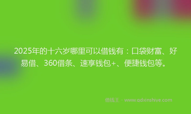2025年的十六岁哪里可以借钱有：口袋财富、好易借、360借条、速享钱包+、便捷钱包等。