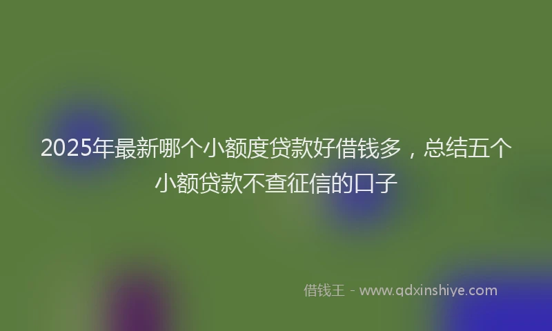 2025年最新哪个小额度贷款好借钱多，总结五个小额贷款不查征信的口子