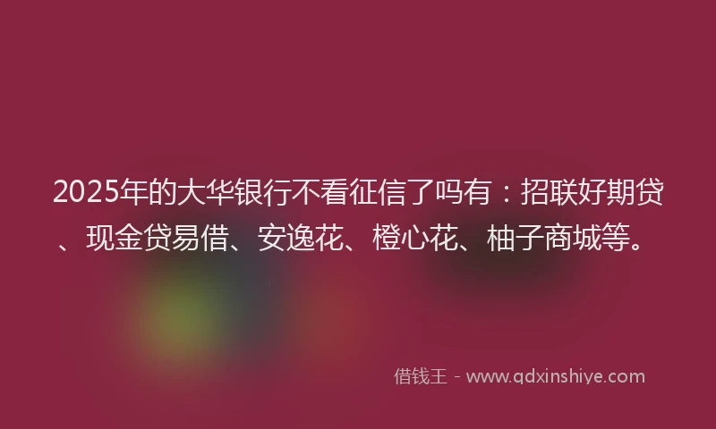 2025年的大华银行不看征信了吗有：招联好期贷、现金贷易借、安逸花、橙心花、柚子商城等。