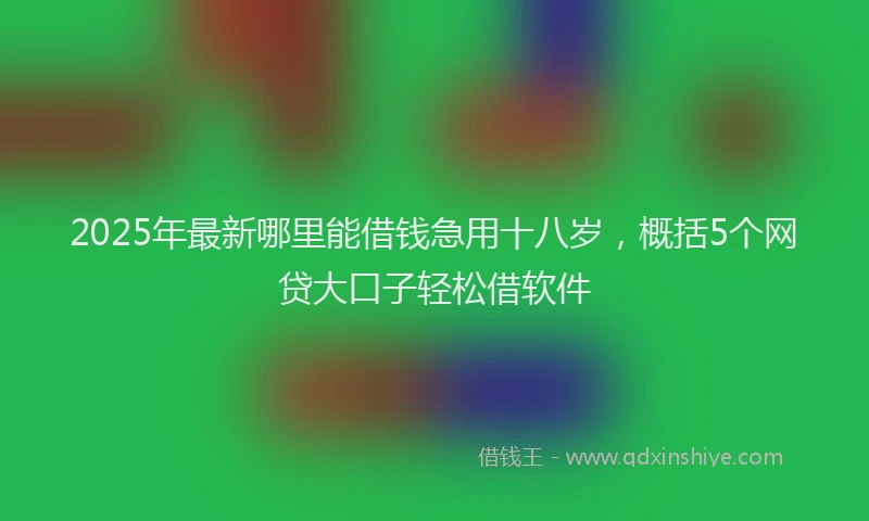 2025年最新哪里能借钱急用十八岁，概括5个网贷大口子轻松借软件